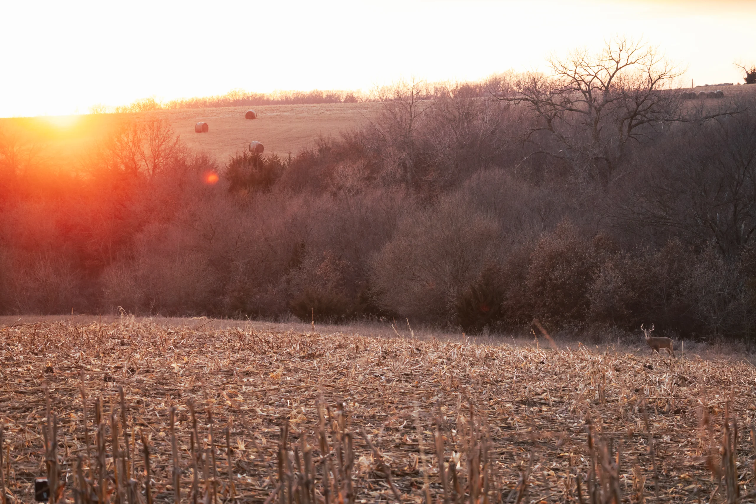 Sunrise on the bottom ground